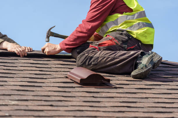 Best Local Roofing Companies  in Elleale, ND
