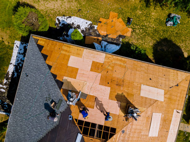 Roof Waterproofing Services in Ellendale, ND