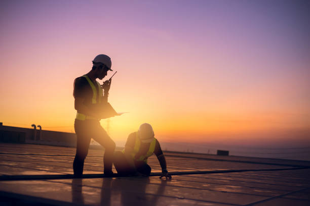 Best Roof Repair Services  in Elleale, ND