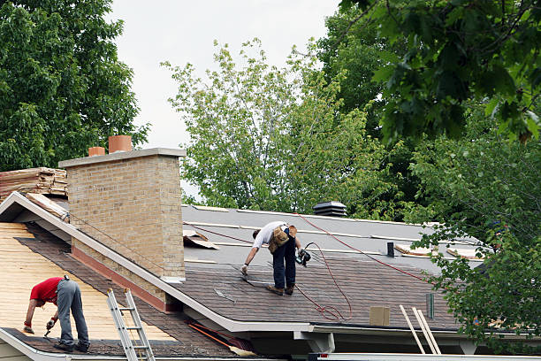 Best Roof Gutter Cleaning  in Elleale, ND