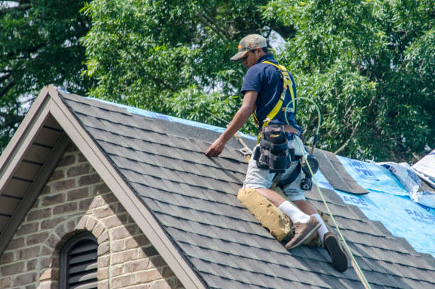 Best Emergency Roof Repair  in Elleale, ND