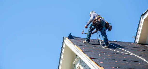 Best Roof Replacement Cost  in Elleale, ND